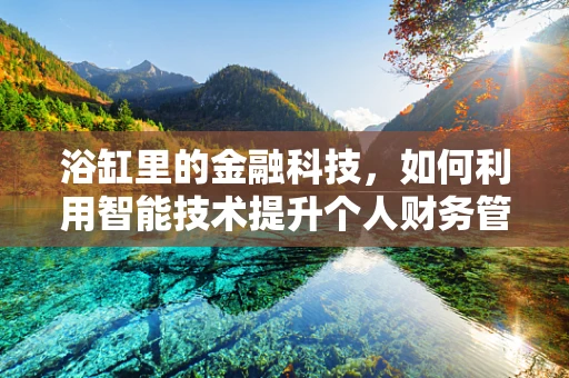 浴缸里的金融科技，如何利用智能技术提升个人财务管理？