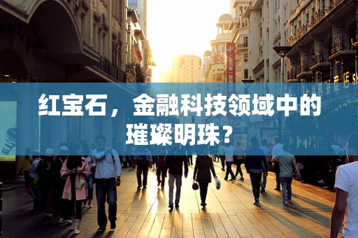 红宝石，金融科技领域中的璀璨明珠？