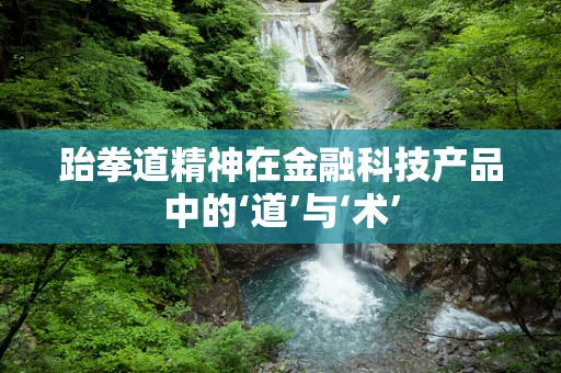 跆拳道精神在金融科技产品中的‘道’与‘术’
