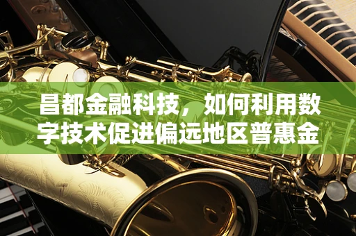 昌都金融科技，如何利用数字技术促进偏远地区普惠金融发展？