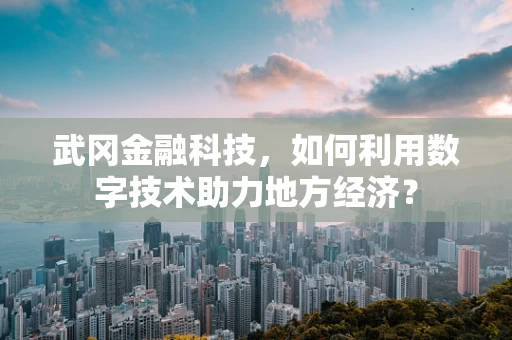 武冈金融科技，如何利用数字技术助力地方经济？