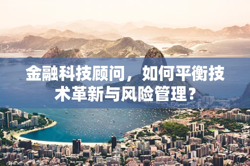 金融科技顾问，如何平衡技术革新与风险管理？