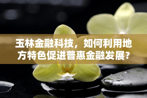 玉林金融科技，如何利用地方特色促进普惠金融发展？