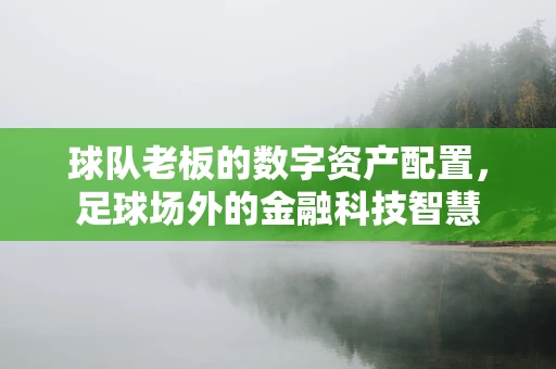 球队老板的数字资产配置，足球场外的金融科技智慧