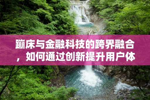 蹦床与金融科技的跨界融合，如何通过创新提升用户体验？