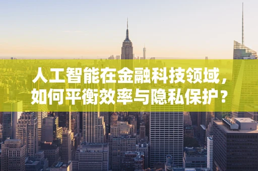 人工智能在金融科技领域，如何平衡效率与隐私保护？