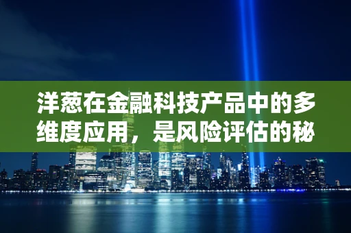 洋葱在金融科技产品中的多维度应用，是风险评估的秘密武器吗？