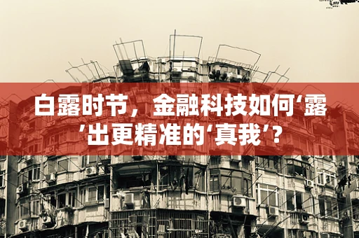 白露时节，金融科技如何‘露’出更精准的‘真我’？
