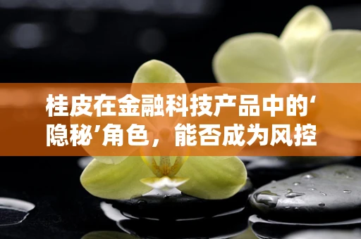桂皮在金融科技产品中的‘隐秘’角色，能否成为风控新利器？