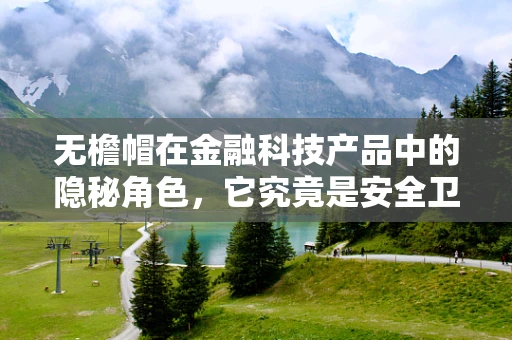 无檐帽在金融科技产品中的隐秘角色，它究竟是安全卫士还是隐私漏洞？