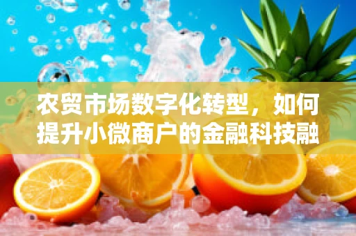 农贸市场数字化转型，如何提升小微商户的金融科技融入度？