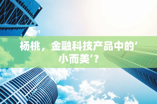 杨桃，金融科技产品中的‘小而美’？