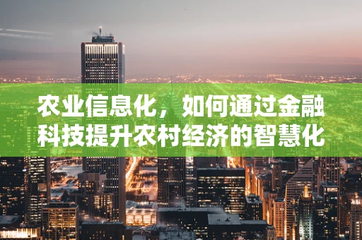 农业信息化，如何通过金融科技提升农村经济的智慧化水平？