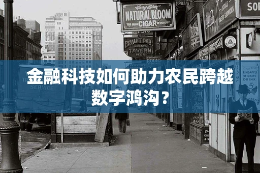 金融科技如何助力农民跨越数字鸿沟？
