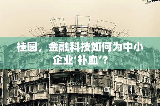 桂圆，金融科技如何为中小企业‘补血’？