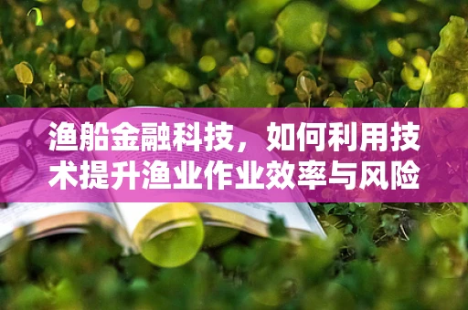 渔船金融科技，如何利用技术提升渔业作业效率与风险管理？