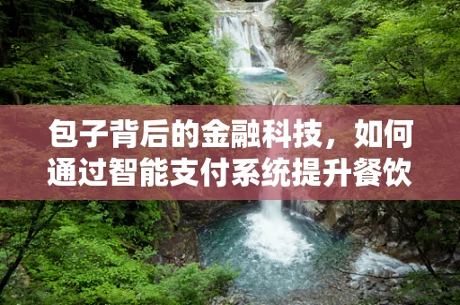 包子背后的金融科技，如何通过智能支付系统提升餐饮业效率？