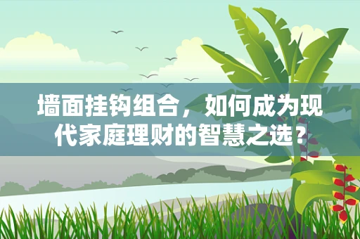 墙面挂钩组合，如何成为现代家庭理财的智慧之选？