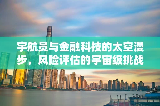 宇航员与金融科技的太空漫步，风险评估的宇宙级挑战？