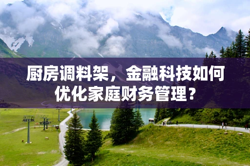厨房调料架，金融科技如何优化家庭财务管理？