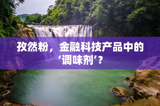 孜然粉，金融科技产品中的‘调味剂’？