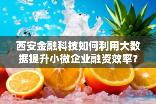 西安金融科技如何利用大数据提升小微企业融资效率？