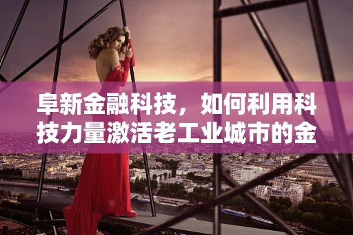 阜新金融科技，如何利用科技力量激活老工业城市的金融活力？