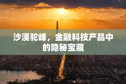 沙漠驼峰，金融科技产品中的隐秘宝藏