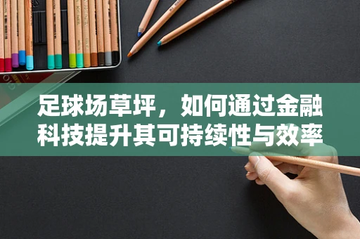 足球场草坪，如何通过金融科技提升其可持续性与效率？