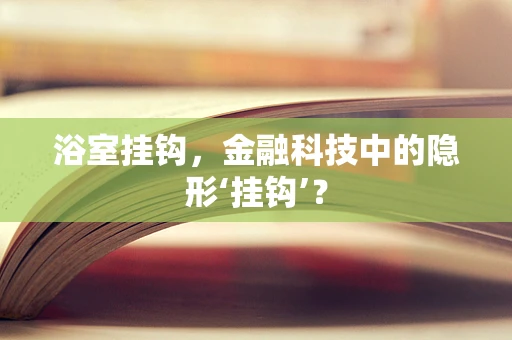 浴室挂钩，金融科技中的隐形‘挂钩’？