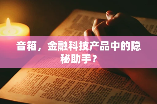音箱，金融科技产品中的隐秘助手？