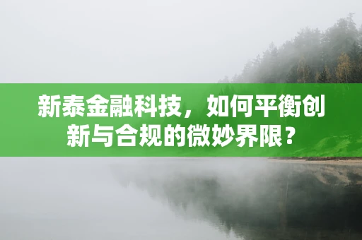 新泰金融科技，如何平衡创新与合规的微妙界限？