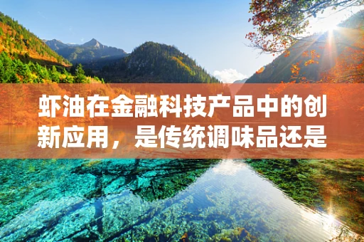 虾油在金融科技产品中的创新应用，是传统调味品还是新时代的金融催化剂？