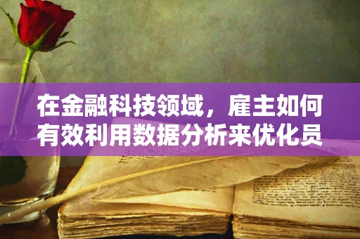在金融科技领域，雇主如何有效利用数据分析来优化员工绩效？