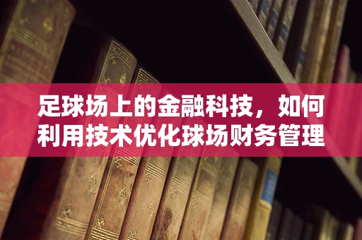 足球场上的金融科技，如何利用技术优化球场财务管理？