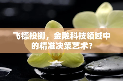 飞镖投掷，金融科技领域中的精准决策艺术？