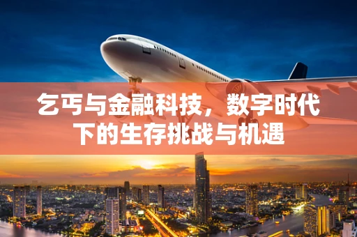 乞丐与金融科技，数字时代下的生存挑战与机遇