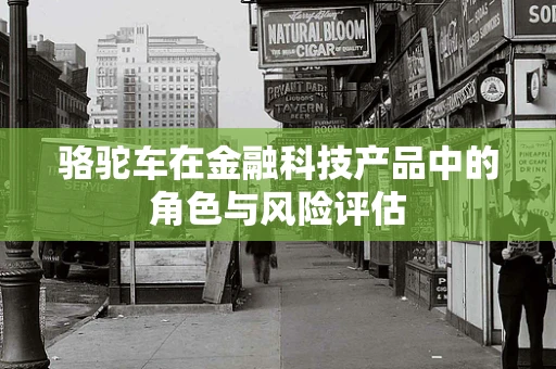 骆驼车在金融科技产品中的角色与风险评估