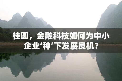 桂圆，金融科技如何为中小企业‘种’下发展良机？