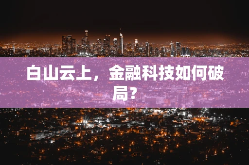 白山云上，金融科技如何破局？