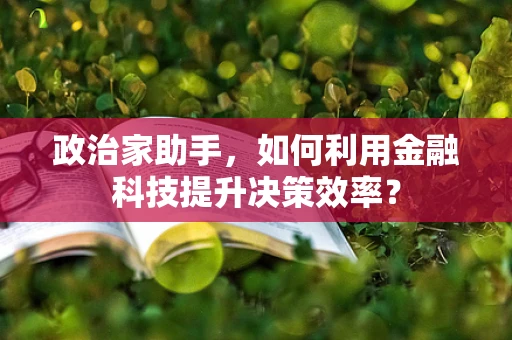 政治家助手，如何利用金融科技提升决策效率？