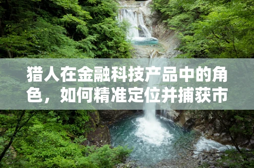 猎人在金融科技产品中的角色，如何精准定位并捕获市场机会？