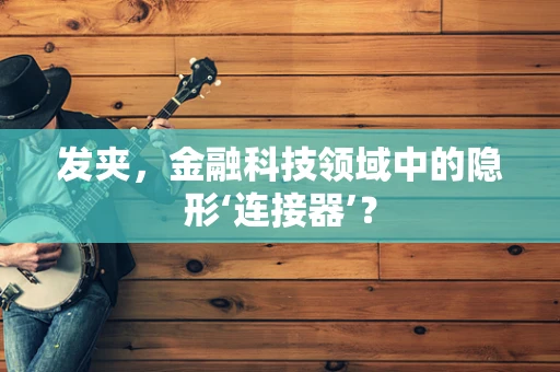 发夹，金融科技领域中的隐形‘连接器’？