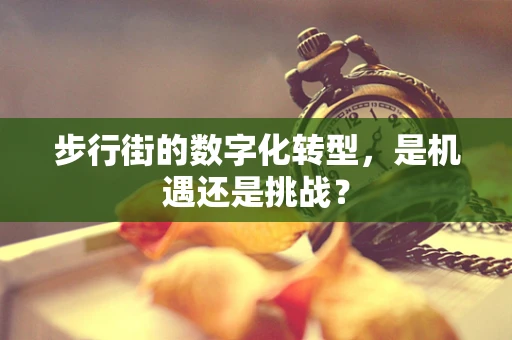 步行街的数字化转型，是机遇还是挑战？
