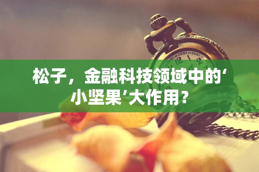 松子，金融科技领域中的‘小坚果’大作用？