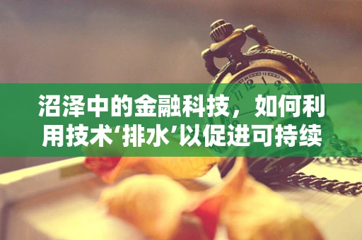 沼泽中的金融科技，如何利用技术‘排水’以促进可持续发展？