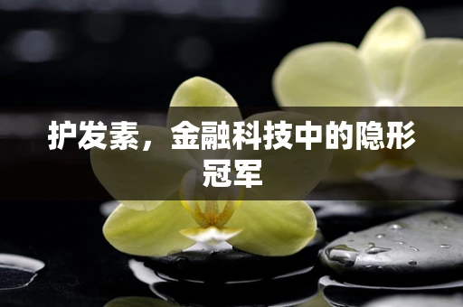 护发素，金融科技中的隐形冠军