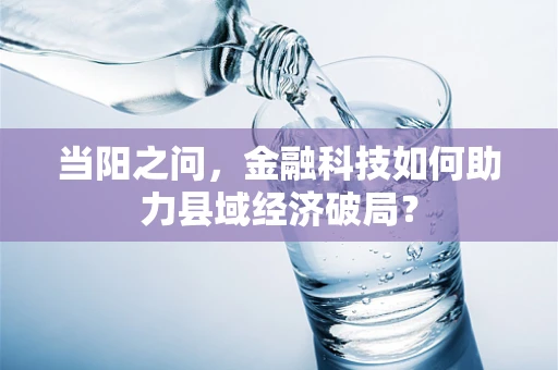 当阳之问，金融科技如何助力县域经济破局？