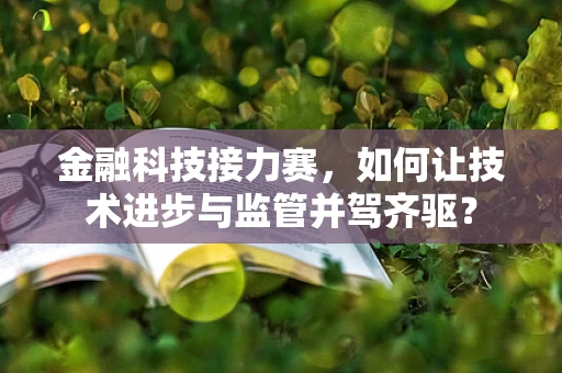 金融科技接力赛，如何让技术进步与监管并驾齐驱？