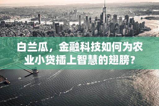 白兰瓜，金融科技如何为农业小贷插上智慧的翅膀？